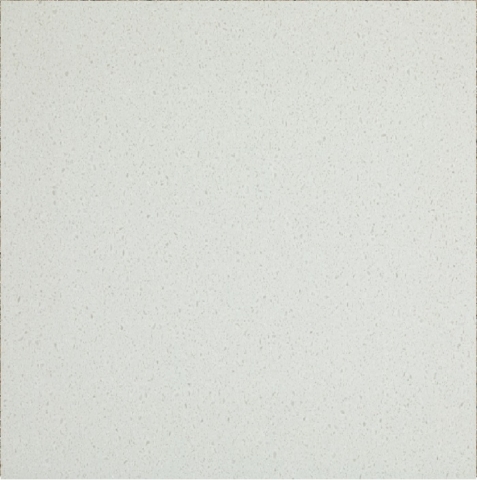 AA625 Aspen Alder