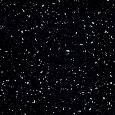 G047 Black Bird
